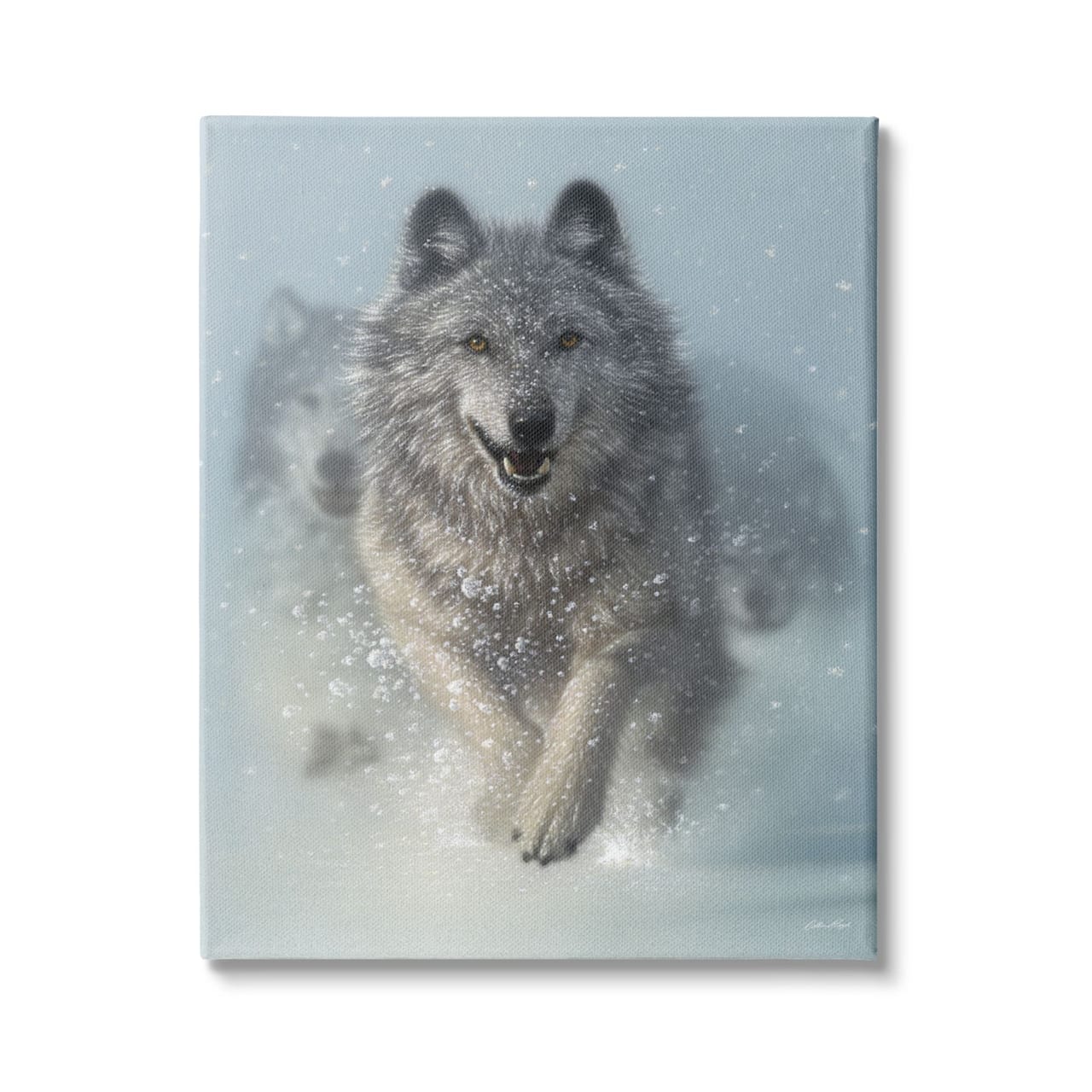 Stupell Industries Wolves Running Through Snow Siberian Wild Winter Animals Canvas Wall Art